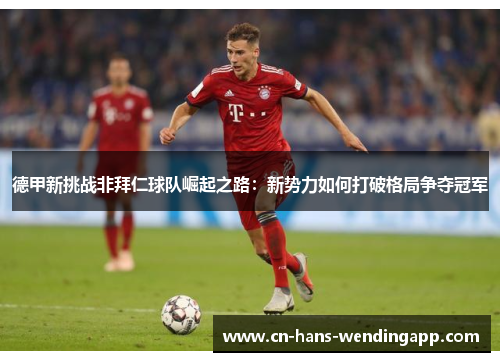 德甲新挑战非拜仁球队崛起之路：新势力如何打破格局争夺冠军